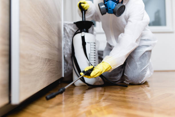Best Termite Control Services  in North Adams, MA