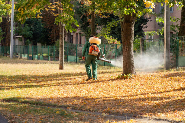 Best Local Pest Control Services  in North Adams, MA
