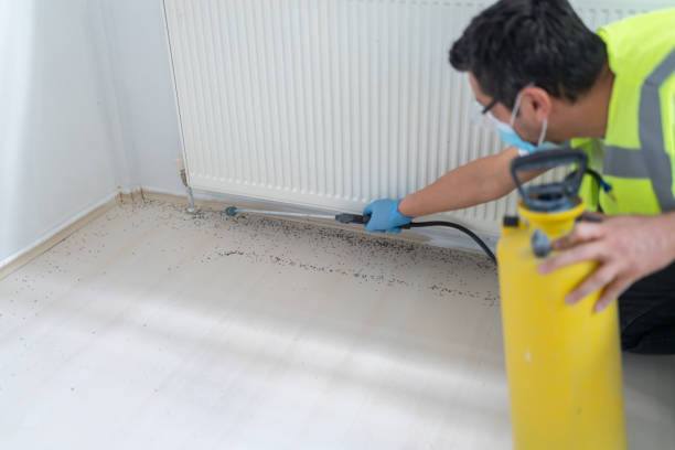 Best Best Pest Control Companies  in North Adams, MA